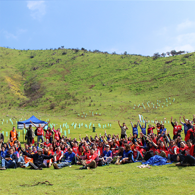 Reforestacion participativa en Maipú