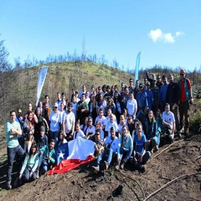 Lollapalooza Chile y la Agencia de Sustentabilidad y Cambio Climático lanzan campaña de reforestación