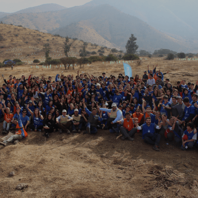 Alstom Foundation y Cultiva reforestan con más de 2.400 árboles nativos zona afectada por incendios forestales