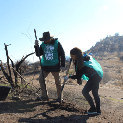 Más de 1.000 árboles nativos fueron plantados en la reforestación del Cerro la Puntilla del sector Cruz del Sur con BuinZoo