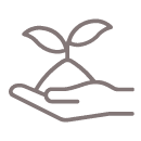 Mantención 2, 3, 4 años