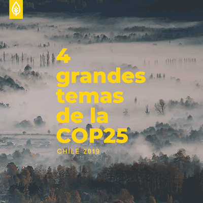4 grandes temas de la COP25